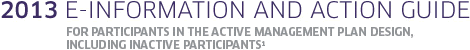 2013 E-Information and Action Guide