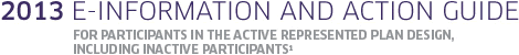2013 E-Information and Action Guide