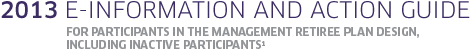 2013 E-Information and Action Guide