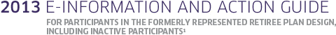2013 E-Information and Action Guide