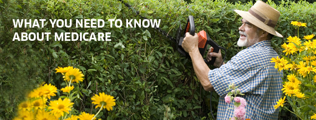 Flexible Spending Accounts