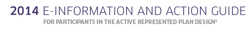 2013 E-Information and Action Guide