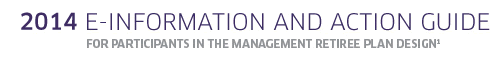 2013 E-Information and Action Guide