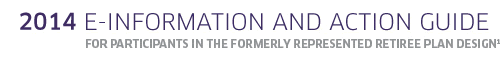 2013 E-Information and Action Guide