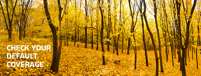 Flexible Spending Accounts