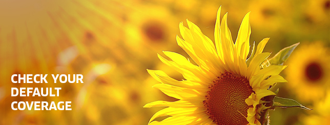 Flexible Spending Accounts