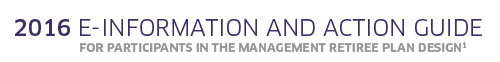 2016 E-Information and Action Guide