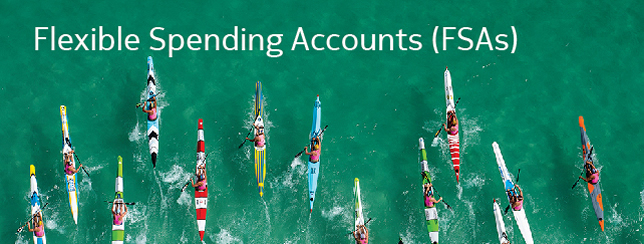 Flexible Spending Accounts