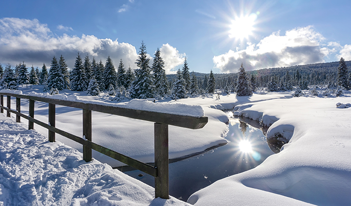 annual open enrollment 2021