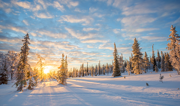 Read important information about using your benefits in 2021